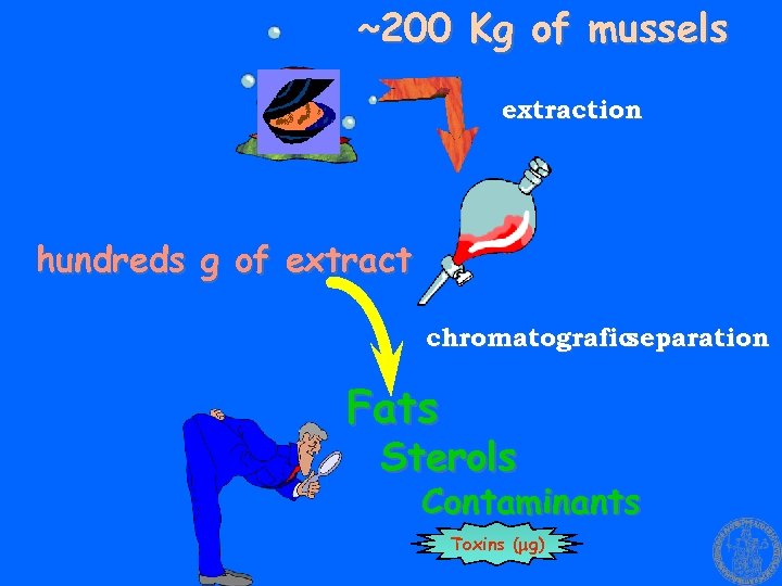 ~200 Kg of mussels extraction hundreds g of extract chromatografic separation Fats Sterols Contaminants