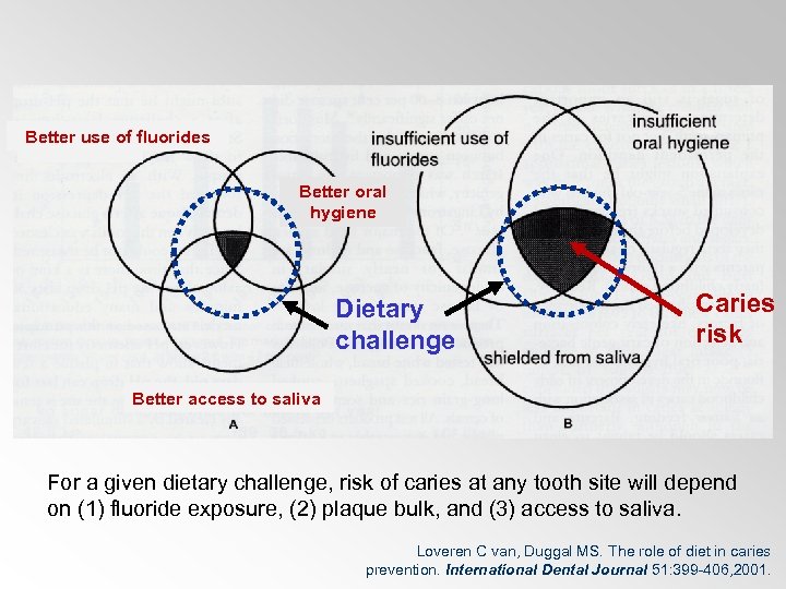 Better use of fluorides Better oral hygiene Dietary challenge Caries risk Better access to
