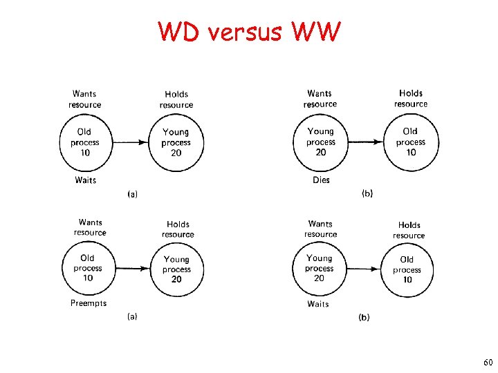 WD versus WW 60 