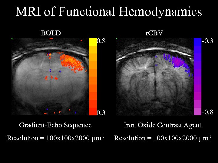 MRI of Functional Hemodynamics BOLD 0. 8 r. CBV -0. 3 -0. 8 0.