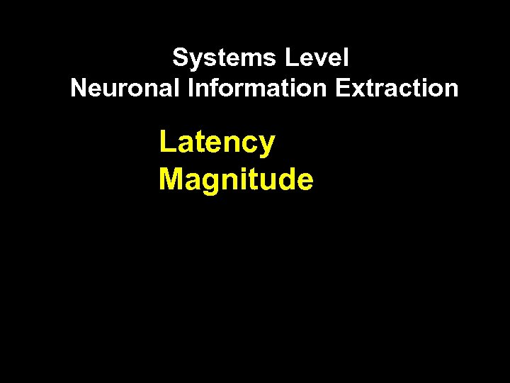 Systems Level Neuronal Information Extraction Latency Magnitude 