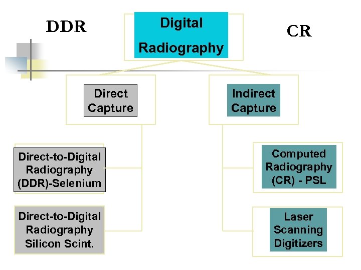 Digital DDR CR Radiography Direct Capture Indirect Capture Direct-to-Digital Radiography (DDR)-Selenium Computed Radiography (CR)