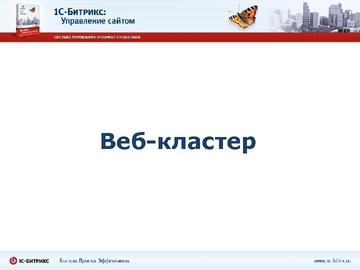 Веб-кластер 