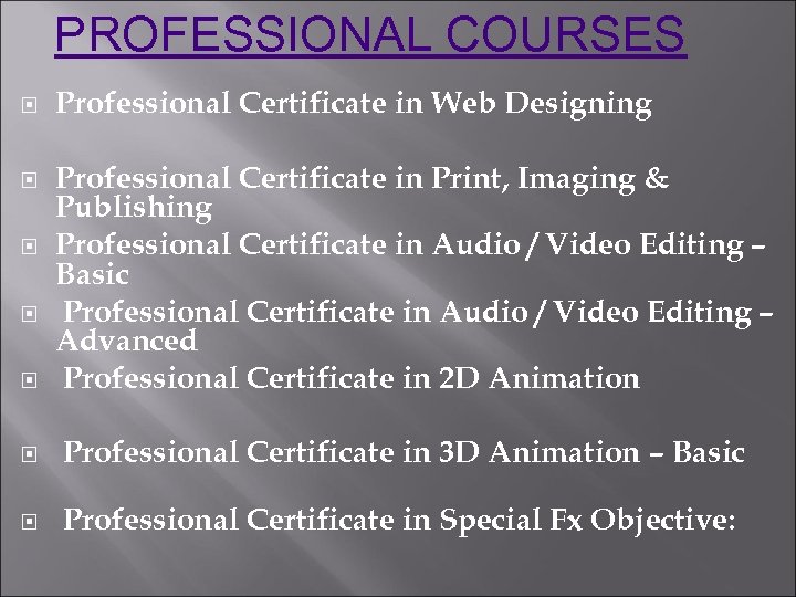 PROFESSIONAL COURSES Professional Certificate in Web Designing Professional Certificate in Print, Imaging & Publishing