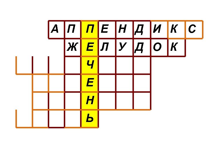 А П П Е Н Д И К С Ж Е Л У Д