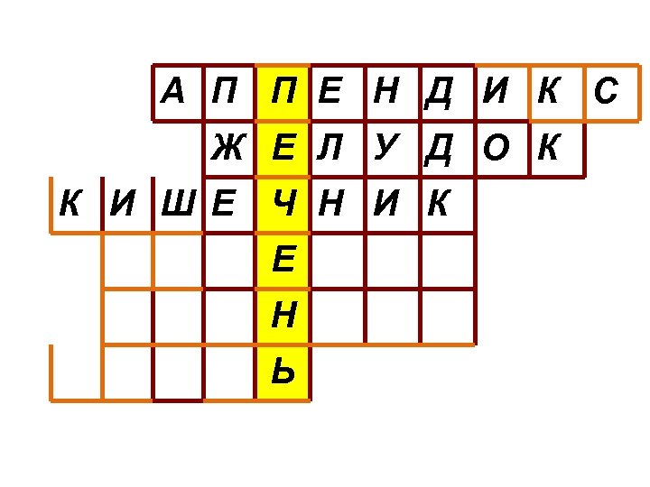 А П П Е Н Д И К С Ж Е Л У Д