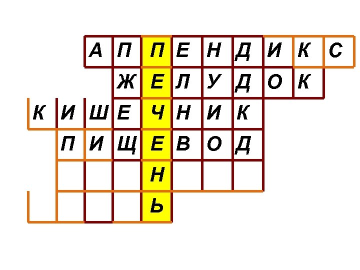 А П П Е Н Д И К С Ж Е Л У Д