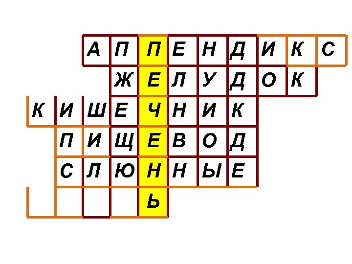 А П П Е Н Д И К С Ж Е Л У Д