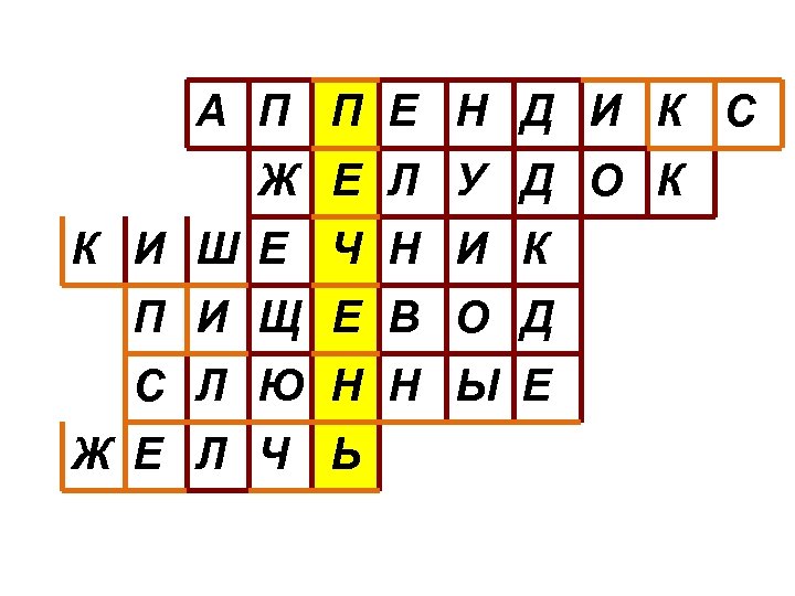 А П П Е Н Д И К С Ж Е Л У Д