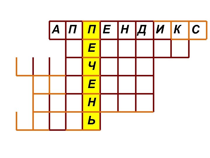 А П П Е Н Д И К С Е Ч Е Н Ь