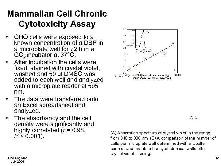 Mammalian Cell Chronic Cytotoxicity Assay • CHO cells were exposed to a known concentration