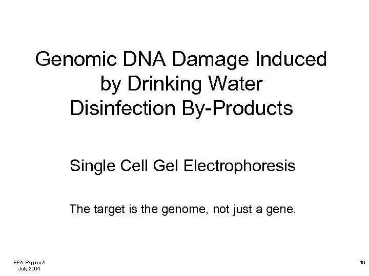 Genomic DNA Damage Induced by Drinking Water Disinfection By-Products Single Cell Gel Electrophoresis The