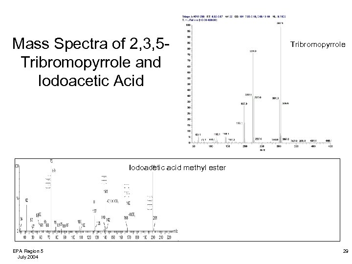 Mass Spectra of 2, 3, 5 Tribromopyrrole and Iodoacetic Acid Tribromopyrrole Iodoacetic acid methyl