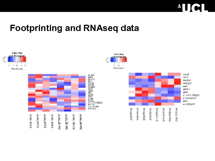 Footprinting and RNAseq data 