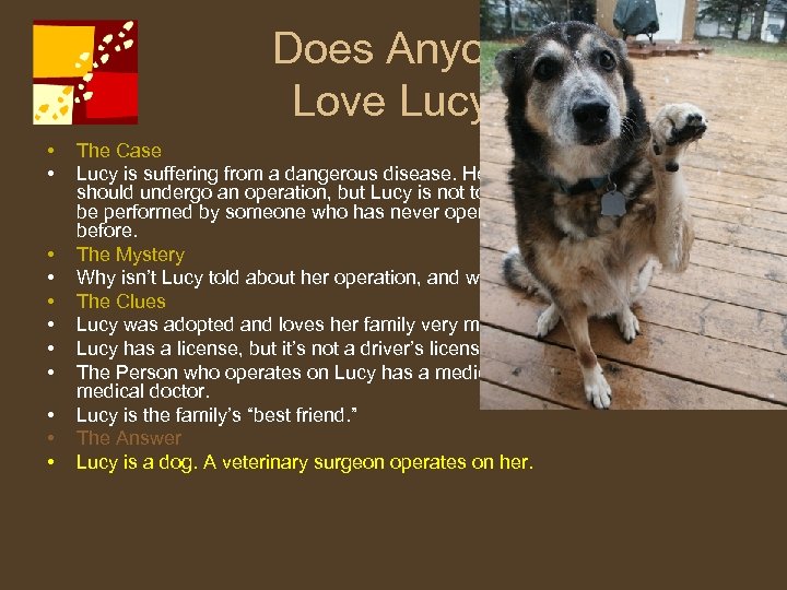 Does Anyone Love Lucy? • • • The Case Lucy is suffering from a