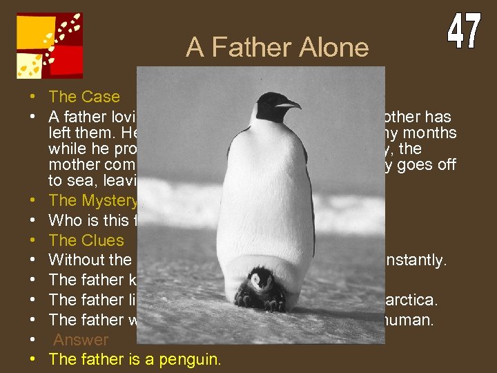 A Father Alone • The Case • A father lovingly cares for his baby
