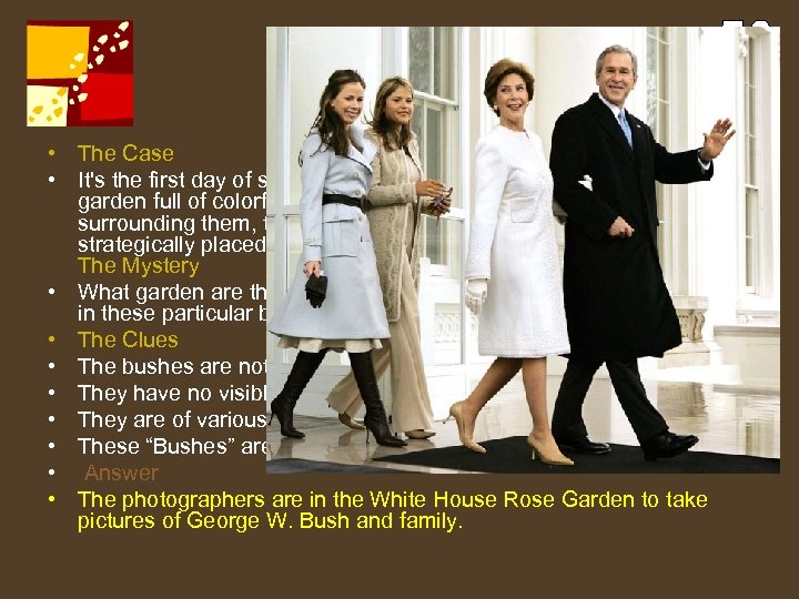 Bush Garden • The Case • It's the first day of spring and a