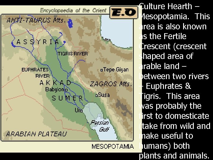 Culture Hearth – Mesopotamia. This area is also known as the Fertile Crescent (crescent