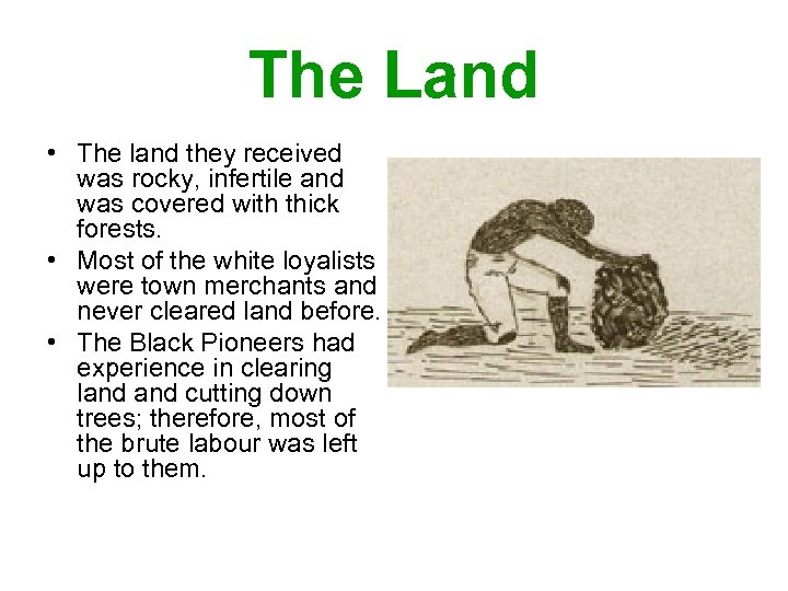 The Land • The land they received was rocky, infertile and was covered with