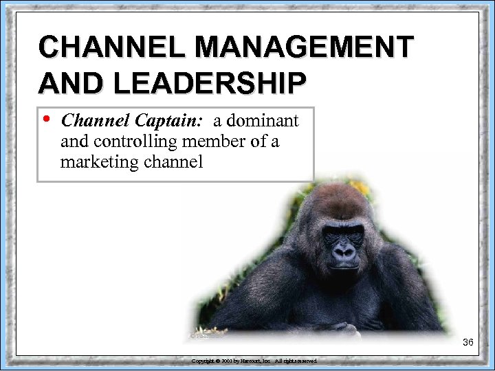 CHANNEL MANAGEMENT AND LEADERSHIP • Channel Captain: a dominant and controlling member of a