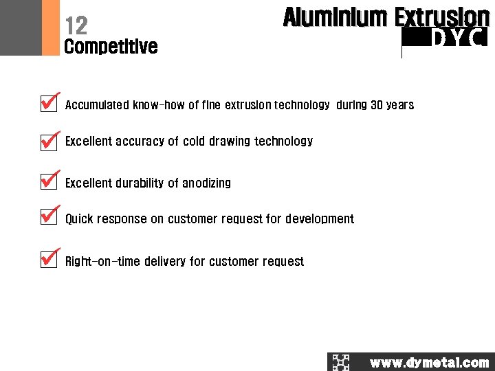 12 Aluminium Extrusion DYC Competitive Accumulated know-how of fine extrusion technology during 30 years