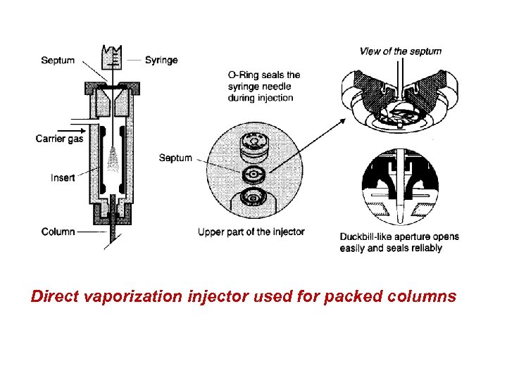 Direct vaporization injector used for packed columns 