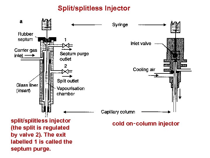 Split/splitless Injector split/splitless injector (the split is regulated by valve 2). The exit labelled