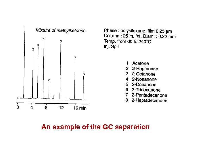 An example of the GC separation 