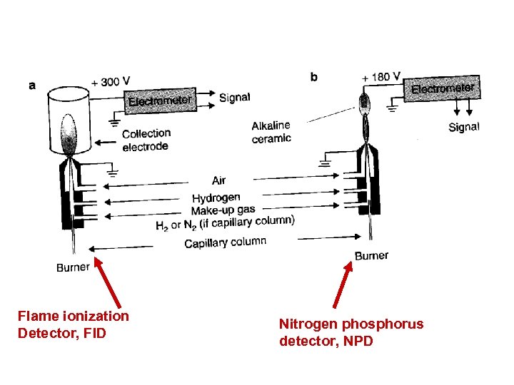 Flame ionization Detector, FID Nitrogen phosphorus detector, NPD 