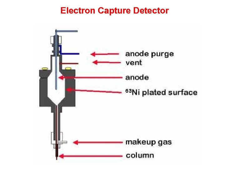 Electron Capture Detector 