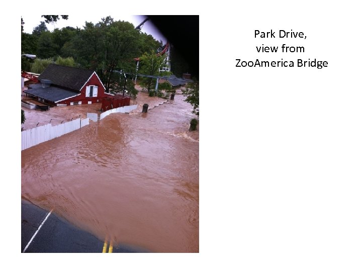 Park Drive, view from Zoo. America Bridge 