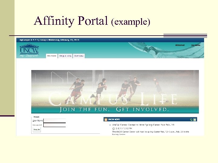 Affinity Portal (example) 