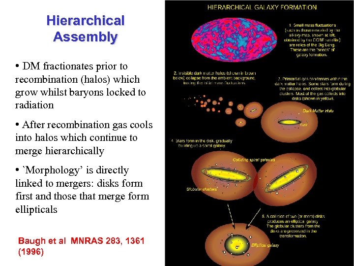 Hierarchical Assembly • DM fractionates prior to recombination (halos) which grow whilst baryons locked