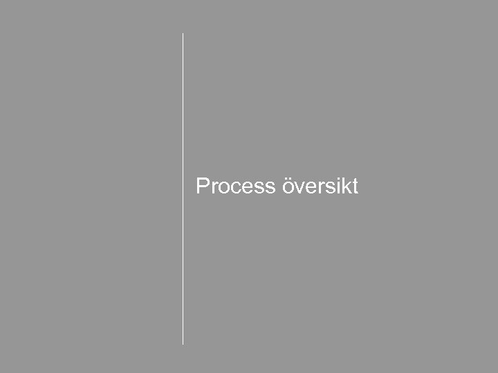 Process översikt 