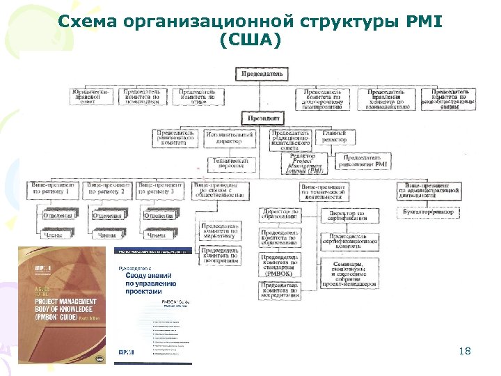 Схема организационной структуры PMI (США) 18 