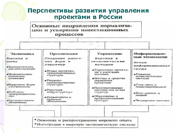 Перспективы развития управления проектами в России 40 