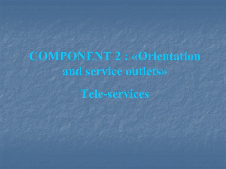 COMPONENT 2 : «Orientation and service outlets» Tele-services 