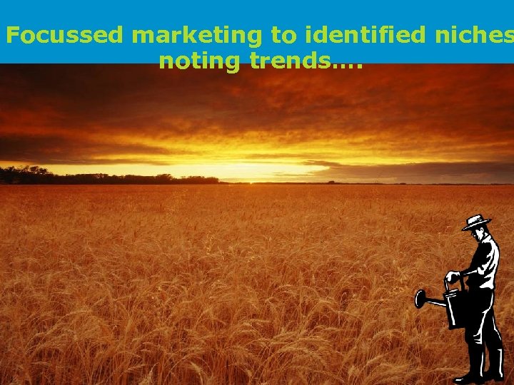 Focussed marketing to identified niches noting trends…. 