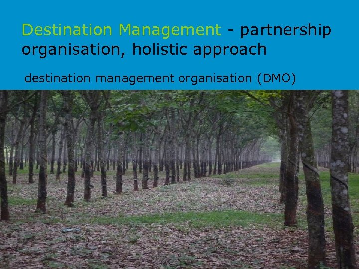 Destination Management - partnership organisation, holistic approach destination management organisation (DMO) 