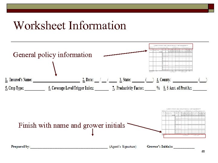 Worksheet Information General policy information Finish with name and grower initials 85 