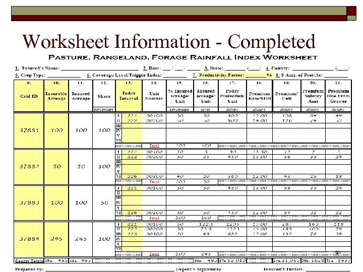 Worksheet Information - Completed 91 