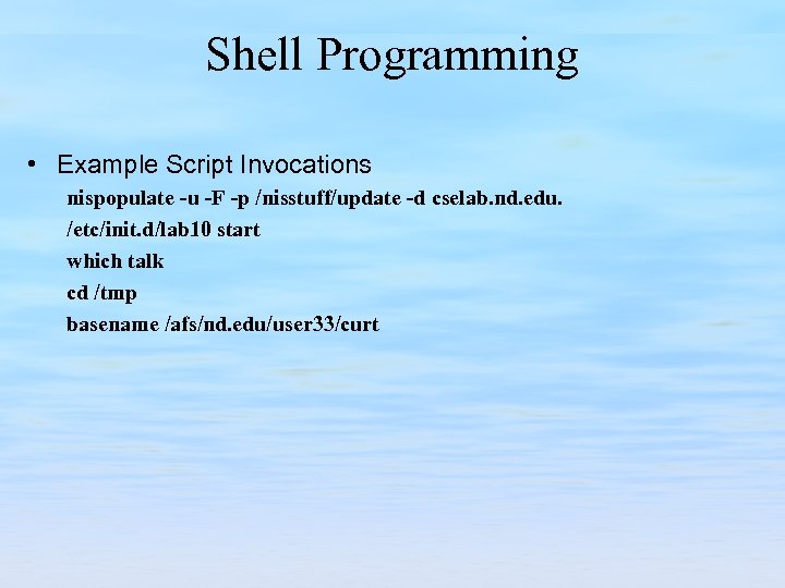Shell Programming • Example Script Invocations nispopulate -u -F -p /nisstuff/update -d cselab. nd.