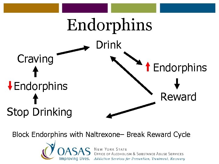 Endorphins Drink Craving Endorphins Reward Stop Drinking Block Endorphins with Naltrexone– Break Reward Cycle