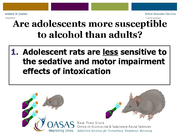 Are adolescents more susceptible to alcohol than adults? 1. Adolescent rats are less sensitive