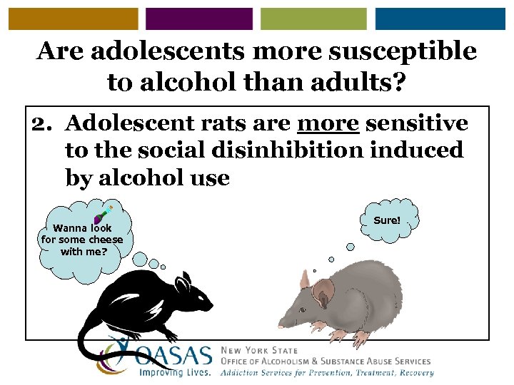 Are adolescents more susceptible to alcohol than adults? 2. Adolescent rats are more sensitive