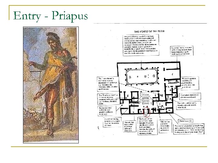 Entry - Priapus 
