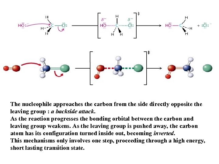 The nucleophile approaches the carbon from the side directly opposite the leaving group :