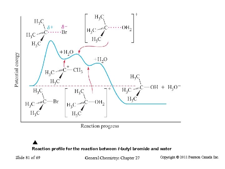 Reaction profile for the reaction between t-butyl bromide and water Slide 81 of 69