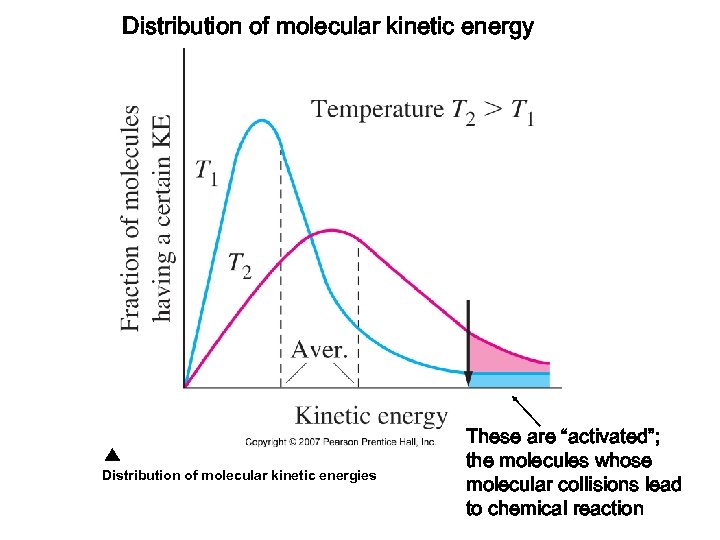 Distribution of molecular kinetic energy Distribution of molecular kinetic energies These are “activated”; the