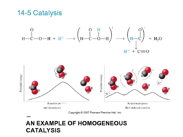 14 -5 Catalysis AN EXAMPLE OF HOMOGENEOUS CATALYSIS 